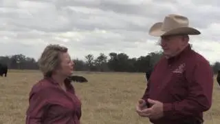 Ron Gill - Beef & Cattle Literacy - The Use of Antibiotics