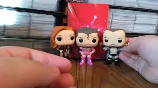 WWE Funko Pop Review FT Mat