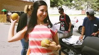 BGO - Summer BBQ 2017