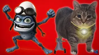 OIIAOIIA CAT, CRAZY FROG, RAT DANCE - Spinning Cat (TECHNO REMIX) Видео Cat Brainrot - STAR SYSTEM