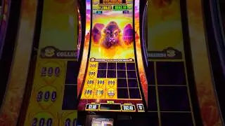 I&rsquo;ve never played this before! Hit a bonus! #slots #casinogame #buffalo