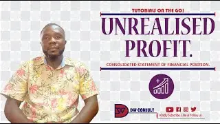 UNREALISED PROFIT - Consolidated Statement of Financial Position.