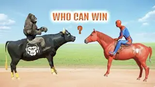 Pro 5 Spider-Man Cow vs Gorilla With Dance Ride on Bridge Shark Spiders | Funny Game Cows Superhero