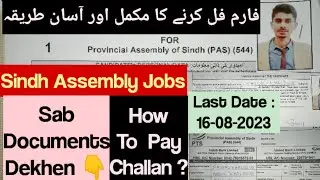 How To Fill Sindh Assembly Jobs Application Form |How To Fill PTS Form| How To Pay PTS Challan|