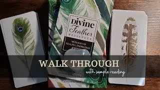 DIVINE FEATHER MESSENGER DECK WALK THROUGH & SAMPLE READING