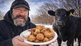Плохой день для быка!! (Устрицы из Скалистых гор)