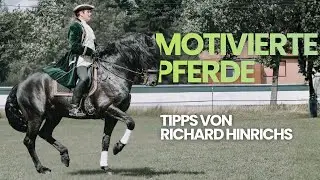 Motivation im Dressurreiten | So förderst du Freude & Ausdruck beim Pferd