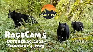 RAGECAM 5 - Trail Camera Video Results October 29, 2022 - February 4, 2023 BEAR, COUGAR, DEER & MORE