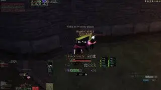 Malerhjerner and friends vs HibZerg - DAoC Phoenix