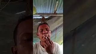 Sorotan 1.05.54 - 1.10.54 dari hobber purba channel sedang live sekarang!