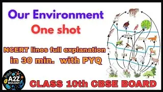 Our environment 