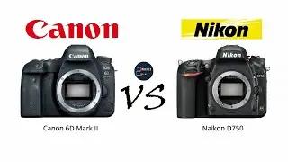 Canon EOS 6D Marl II VS Nikon D750