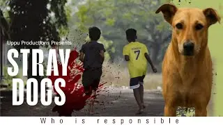 Stray Dogs | Who is responsible | Uppu Video | Pramod Uppu | Vishnupriya |