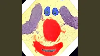 2c