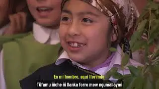 Pichi Zomo - Malen ,  (Chiquitita) HAUSER - Cover