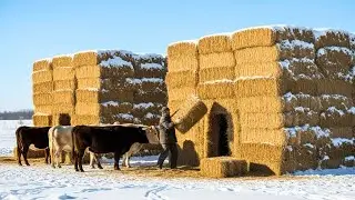 Everyone Mocked His &ldquo;Hay-Bale&rdquo; Fortress&mdash;Until It Saved Them All From the Blizzard