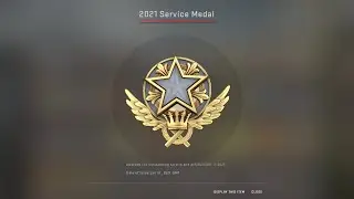 CS:GO - Getting 2021 Service Medal