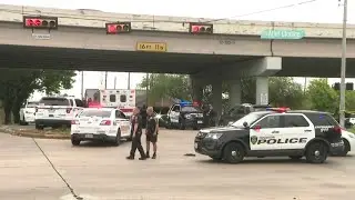 HCSO employee involved in murder suicide