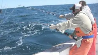 Tuna Town