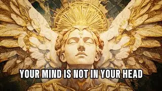 Your Mind is NOT in Your Head: How to Use Quantum Reality to Change Your Life