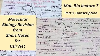 Molecular Biology Revision | Short Notes for CSIR NET, GATE, DBT, ICMR