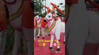 NTR district 💐🌹🌻🌼🌺 beautiful view