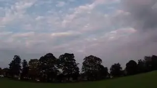 JJRC JJ1000 The Newb With A Gnat !