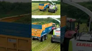 Claas Jaguar 890 lifting grass #farming #arimagery #agriculture