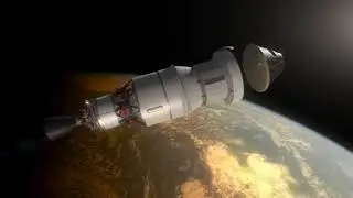 space sheep..