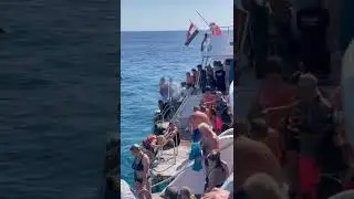 Egypt. Red Sea. Sharm el Sheikh. Египет. Красное море. Шарм эль Шейх
