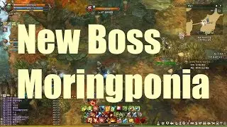 [TOS TEST] New Boss - Moringponia / Dimension Compression ARTS