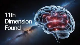 Your Brain Just Got 11 Dimensions Richer