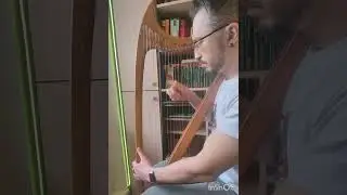 harp D&uacute;nadan 24