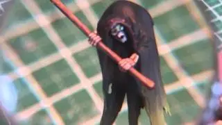 Cairn Wraith Showcase