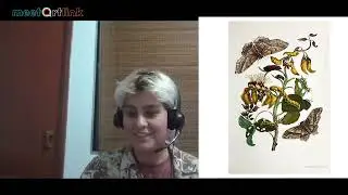 Scientific Illustration Course - Class 1 - MeetArtLink