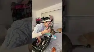 Mi gatita no me dejaba acomodar mis cosas porque quer&iacute;a cari&ntilde;o