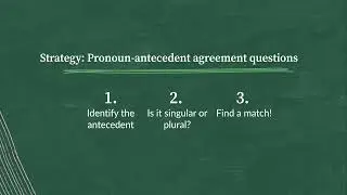 Pronoun Antecedent Agreement v3