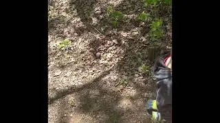 Hiking in the woods!  Mort walker trail Missouri scavenger hunt family time