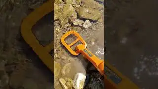 Treasure Hunting in River with metal detector #viralshorts #metaldetecting #treasurehunting