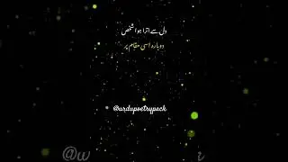 dil se utra hoa shakhs.. #deepline #emotional #urdupoetrystatus #sadpoetry #shayari #shorts