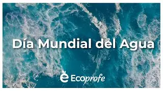 Día Mundial del Agua - Ecoprofe