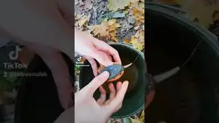 Method feeder #fishing #fish #rybařen&iacute; #fyp #carpangler #methodfeeder