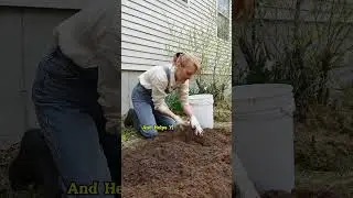 Compost Magic: Feed Your Garden the Natural Way