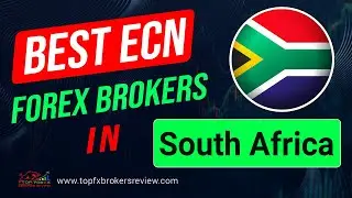 Best ECN Forex Brokers in South Africa  | ECN Forex Brokers | ECN | South Africa