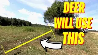 Opening FENCE GAPS for DEER!