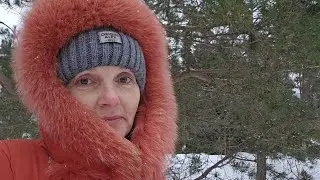 НОРВЕГИЯ. ЗАБЛУДИЛАСЬ В ТРЁХ СОСНАХ...