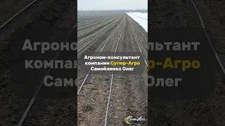 Фульвумин и 100% всхожесть #агротехнологии