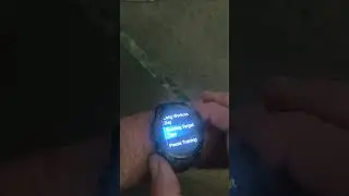 how to change Garmin epix watch from target type from heart rate to pace or vice versa.