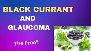 Black Currant For Glaucoma? Does It Really Work?