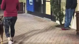 Ppd atm robbery scenario Blackhawk canine dog